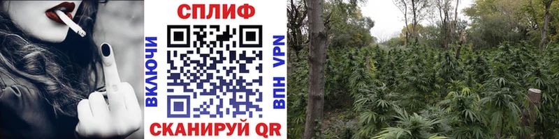 Какие есть наркотики Калининец Амфетамин Альфа ПВП Псилоцибиновые грибы COCAIN Меф