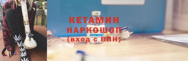 сатива Михайловка