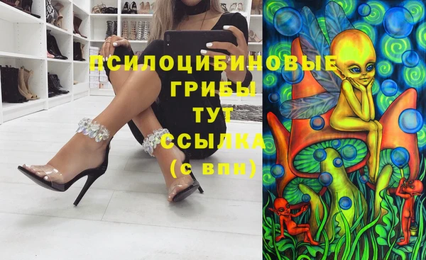 сатива Михайловка